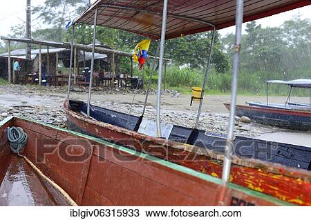 Boats at the Rio Napo in heavy rain, near Tena, Napo Province, Ecuador, South America View Large Photo Image Stock Image - Boats at the Rio Napo in heavy rain, near Tena, Napo Province, Ecuador, South America. Fotosearch