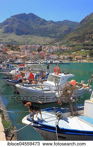 Boats in fishing port, Castellammare del Golfo, Trapani province, Sicily, Italy, Europe View Large Photo Image Stock Image - Boats in fishing port, Castellammare del Golfo, Trapani province, Sicily, Italy, Europe. Fotosearch