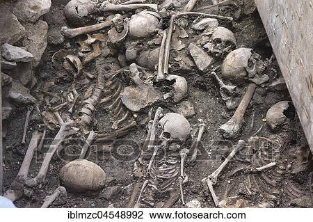 Bones found during contemporary excavations at the cathedral of St. Peter, Regensburg, Upper Palatinate, Bavaria, Germany, Europe View Large Photo Image Stock Image - Bones found during contemporary excavations at the cathedral of St. Peter, Regensburg, Upper Palatinate, Bavaria, Germany, Europe. Fotosearch