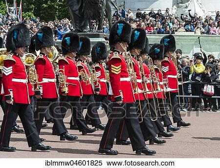 Brass band, guards of the royal guard with bearskin cap, Changing of the Guard, Traditional Changing, Buckingham Palace, London, England, Great Britain View Large Photo Image Stock Photography - Brass band, guards of the royal guard with bearskin cap, Changing of the Guard, Traditional Changing, Buckingham Palace, London, England, Great Britain. Fotosearch