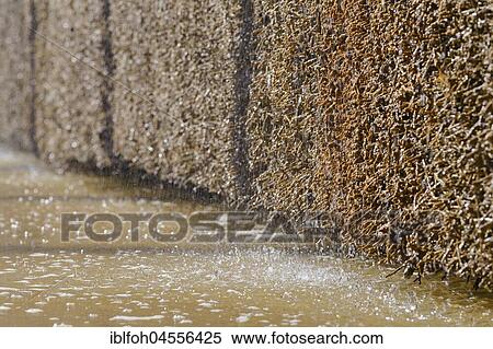 Brine trickling over faggots, graduation house, health resort Bad Rothenfelde, Lower Saxony, Germany, Europe View Large Photo Image Stock Photography - Brine trickling over faggots, graduation house, health resort Bad Rothenfelde, Lower Saxony, Germany, Europe. Fotosearch