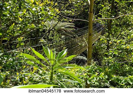 Burma suspension bridge in the Jungle, The Lost Gardens of Heligan, near St Austell, Cornwall, England, United Kingdom, Europe View Large Photo Image Stock Photo - Burma suspension bridge in the Jungle, The Lost Gardens of Heligan, near St Austell, Cornwall, England, United Kingdom, Europe. Fotosearch
