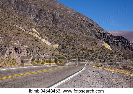 Stock Image - Cacti-covered mountains, road Ruta Nacional 52 direction Chile, department Tumbaya, Jujuy province, Argentina, South America. Fotosearch