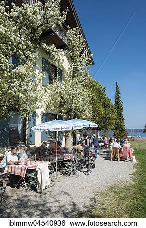 Cafe Seeseiten, European Chiemsee, Upper Bavaria, Bavaria, Germany, Europe View Large Photo Image Stock Photograph - Cafe Seeseiten, European Chiemsee, Upper Bavaria, Bavaria, Germany, Europe. Fotosearch