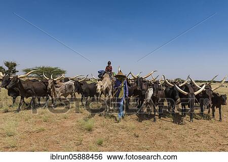 Caravan of Peul nomads with their animals in the Sahel of Niger View Large Photo Image Stock Photograph - Caravan of Peul nomads with their animals in the Sahel of Niger. Fotosearch