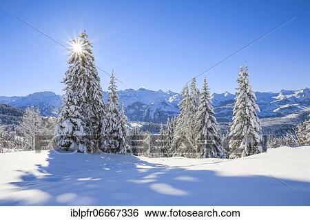 Stock Photograph - Central Swiss Alps, Switzerland, Europe. Fotosearch