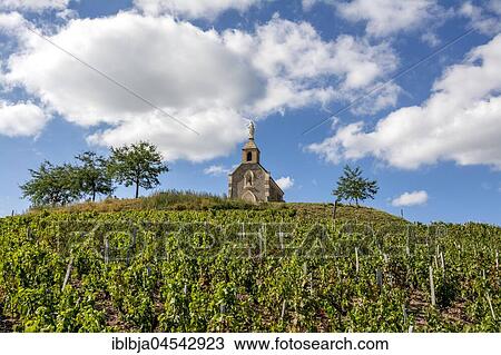 Chapel La Madone at Fleurie village, Beaujolais vineyard, Rhone, Region Auvergne-Rhône-Alpes, France, Europe View Large Photo Image Stock Image - Chapel La Madone at Fleurie village, Beaujolais vineyard, Rhone, Region Auvergne-Rhône-Alpes, France, Europe. Fotosearch