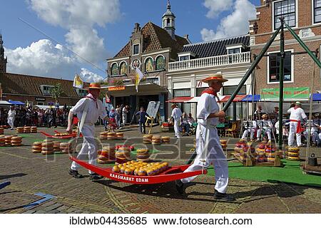 Cheese Market, porters, Edam, Edam-Volendam, North Holland Province, The Netherlands, Europe View Large Photo Image Stock Photography - Cheese Market, porters, Edam, Edam-Volendam, North Holland Province, The Netherlands, Europe. Fotosearch