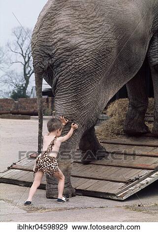Stock Photo - Child pushes elephant, England, Great Britain. Fotosearch