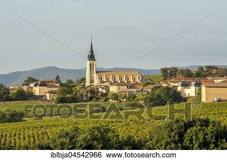 Church of Fleurie village, Beaujolais vineyard, Rhone, Region Auvergne-Rhône-Alpes, France, Europe View Large Photo Image Stock Photograph - Church of Fleurie village, Beaujolais vineyard, Rhone, Region Auvergne-Rhône-Alpes, France, Europe. Fotosearch