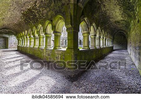 Picture - Cloister, Moyne Abbey Monastery, County Mayo, Ireland, Europe. Fotosearch