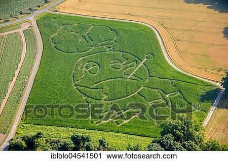 Corn maze, global warming, Selm, Ruhr area, North Rhine-Westphalia, Germany, Europe View Large Photo Image Stock Image - Corn maze, global warming, Selm, Ruhr area, North Rhine-Westphalia, Germany, Europe. Fotosearch