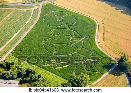Corn maze, global warming, Selm, Ruhr area, North Rhine-Westphalia, Germany, Europe View Large Photo Image Stock Image - Corn maze, global warming, Selm, Ruhr area, North Rhine-Westphalia, Germany, Europe. Fotosearch