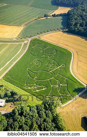 Corn maze, global warming, Selm, Ruhr area, North Rhine-Westphalia, Germany, Europe View Large Photo Image Stock Photography - Corn maze, global warming, Selm, Ruhr area, North Rhine-Westphalia, Germany, Europe. Fotosearch
