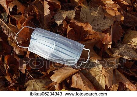 Stock Image - Corona pandemic, discarded face mask lies on autumn leaves, Düsseldorf, North Rhine-Westphalia, Germany, Europe. Fotosearch