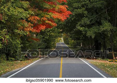 Country road through colourful autumn forest, Indian Summer, Province of Quebec, Canada, North America View Large Photo Image Stock Image - Country road through colourful autumn forest, Indian Summer, Province of Quebec, Canada, North America. Fotosearch