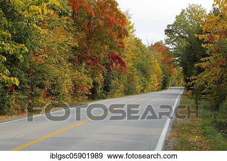 Country road through colourful autumn forest, Indian Summer, Province of Quebec, Canada, North America View Large Photo Image Stock Photo - Country road through colourful autumn forest, Indian Summer, Province of Quebec, Canada, North America. Fotosearch