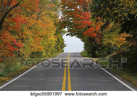 Country road through colourful autumn forest, Indian Summer, Province of Quebec, Canada, North America View Large Photo Image Stock Photo - Country road through colourful autumn forest, Indian Summer, Province of Quebec, Canada, North America. Fotosearch