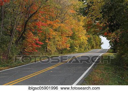 Country road through colourful autumn forest, Indian Summer, Province of Quebec, Canada, North America View Large Photo Image Stock Photograph - Country road through colourful autumn forest, Indian Summer, Province of Quebec, Canada, North America. Fotosearch