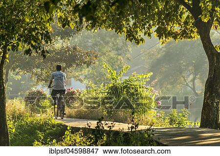 Cyclist at Kan Thar Yar See, Hpa-an, Myanmar, Asia View Large Photo Image Stock Photo - Cyclist at Kan Thar Yar See, Hpa-an, Myanmar, Asia. Fotosearch