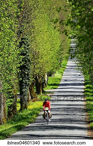 Cyclist on avenue, Franconian Switzerland, Upper Franconia, Bavaria, Germany, Europe View Large Photo Image Stock Image - Cyclist on avenue, Franconian Switzerland, Upper Franconia, Bavaria, Germany, Europe. Fotosearch