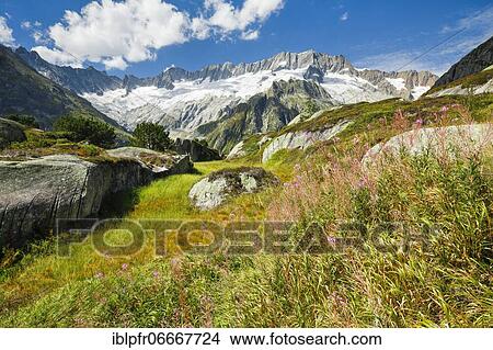 Picture - Dammastock, 3630m, Göscheneralp, Uri, Switzerland, Europe. Fotosearch