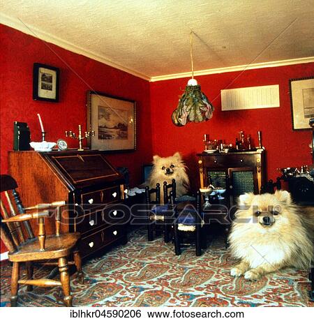 Stock Photograph - Dogs, lace sitting in dollhouse, England, Great Britain. Fotosearch