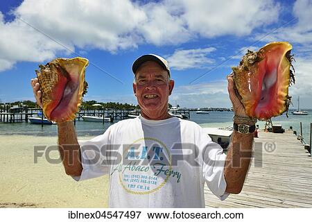 Edward Pinder showing Strombus, Guana Cay, Abacos Islands, Bahamas, Central America View Large Photo Image Stock Photo - Edward Pinder showing Strombus, Guana Cay, Abacos Islands, Bahamas, Central America. Fotosearch