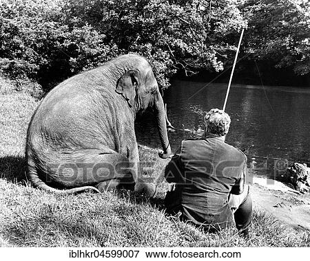 Stock Photo - Elephant and man sit together by the river and fish, England, Great Britain. Fotosearch