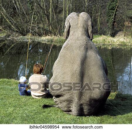 Picture - Elephant fishing, England, Great Britain. Fotosearch