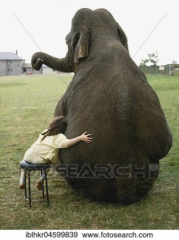 Stock Photo - Elephant sits next to girls, England, Great Britain. Fotosearch