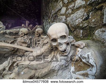 Ercolano, Herculaneum, excavation, Herculaneum, skull and bones of volcanic eruption of astonished inhabitants, excavation site, Gulf of Naples, Campania, Italy, Europe View Large Photo Image Stock Photo - Ercolano, Herculaneum, excavation, Herculaneum, skull and bones of volcanic eruption of astonished inhabitants, excavation site, Gulf of Naples, Campania, Italy, Europe. Fotosearch
