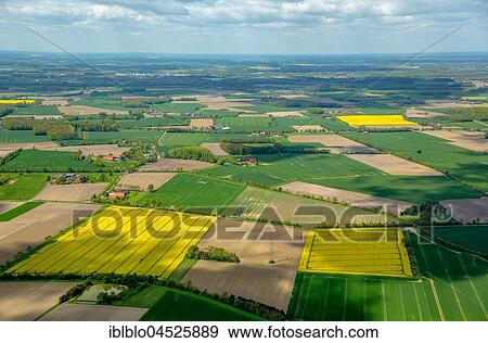 Farming fields and rape fields, Drensteinfurt, Münsterland, North Rhine-Westphalia, Germany, Europe View Large Photo Image Stock Photo - Farming fields and rape fields, Drensteinfurt, Münsterland, North Rhine-Westphalia, Germany, Europe. Fotosearch