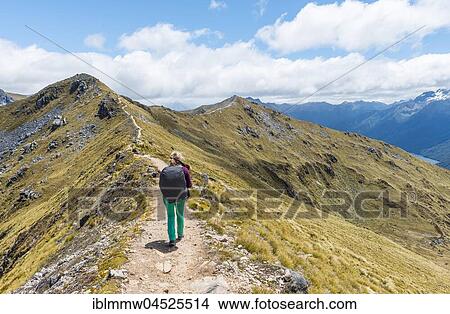 Picture - Female hiker on Kepler Track, Fiordland National Park, Southland, New Zealand, Oceania. Fotosearch