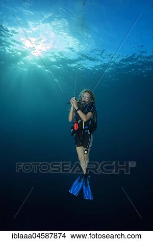 Female scuba diver hung for a safety stop in blue water, Indian Ocean, Maldives, Asia View Large Photo Image Picture - Female scuba diver hung for a safety stop in blue water, Indian Ocean, Maldives, Asia. Fotosearch