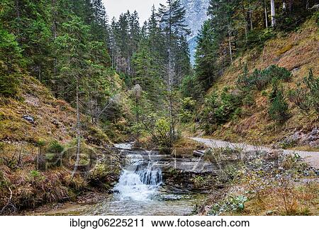 Ferchenbach on the hiking trail to Ferchensee, Mittenwald, Isartal, Werdenfelser Land, Upper Bavaria, Bavaria, Germany, Europe View Large Photo Image Stock Image - Ferchenbach on the hiking trail to Ferchensee, Mittenwald, Isartal, Werdenfelser Land, Upper Bavaria, Bavaria, Germany, Europe. Fotosearch
