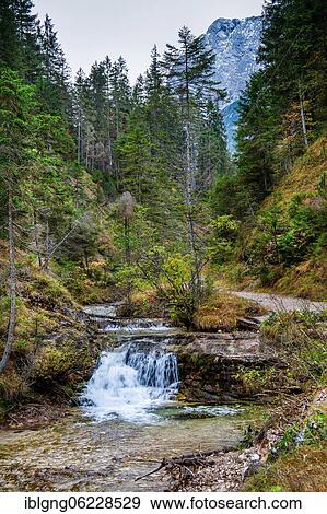 Ferchenbach on the hiking trail to Ferchensee, Mittenwald, Isartal, Werdenfelser Land, Upper Bavaria, Bavaria, Germany, Europe View Large Photo Image Stock Photo - Ferchenbach on the hiking trail to Ferchensee, Mittenwald, Isartal, Werdenfelser Land, Upper Bavaria, Bavaria, Germany, Europe. Fotosearch