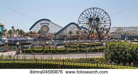 Ferris Wheel Mickey's Fun Wheel and Roller Coaster California Screamin', in front Lake Paradise Bay, California Adventure Park, Disneyland Resort, Anaheim, California, USA, North America View Large Photo Image Stock Photograph - Ferris Wheel Mickey's Fun Wheel and Roller Coaster California Screamin', in front Lake Paradise Bay, California Adventure Park, Disneyland Resort, Anaheim, California, USA, North America. Fotosearch