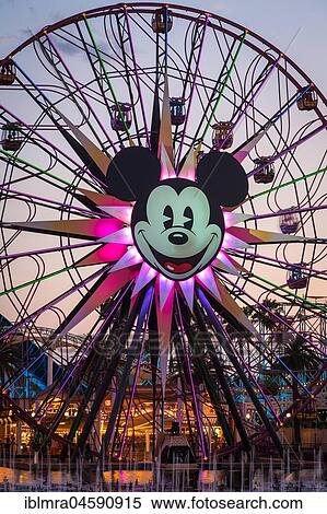 Ferris Wheel Mickey's Fun Wheel, California Adventure Park, Disneyland Resort, Anaheim, California, USA, North America View Large Photo Image Stock Photography - Ferris Wheel Mickey's Fun Wheel, California Adventure Park, Disneyland Resort, Anaheim, California, USA, North America. Fotosearch