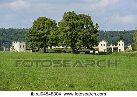 Picture - Field maple (Acer campestre), Roman fort Pfünz, Castra Vetoniana or Vetonianae, Rhaetian Limes, Walting, Eichstätt, Upper Bavaria, Bavaria, Germany, Europe. Fotosearch
