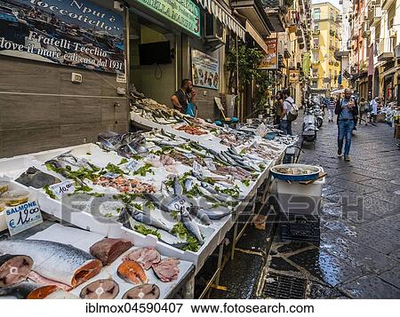 Fish shops in the old town, Naples, Campania, Italy, Europe View Large Photo Image Stock Photo - Fish shops in the old town, Naples, Campania, Italy, Europe. Fotosearch