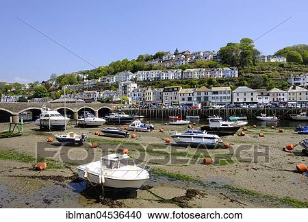 Stock Image - Fishing port at low tide, East Looe, Looe, Cornwall, England, United Kingdom, Europe. Fotosearch