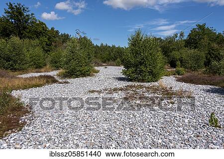 Flintstone fields, scree fields between Mukran and Prora, Mecklenburg-Vorpommern, Germany, Europe View Large Photo Image Stock Image - Flintstone fields, scree fields between Mukran and Prora, Mecklenburg-Vorpommern, Germany, Europe. Fotosearch