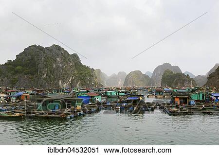 Stock Image - Floating fishing village, Ben Beo harbour, Cat Ba Island, Halong Bay, Vietnam, Asia. Fotosearch