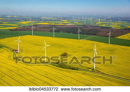 Flowering yellow rape fields, farmland, cropland, wind park, wind energy plants, near Marsberg, Sauerland, Hochsauerland district, North Rhine-Westphalia, Germany, Europe View Large Photo Image Stock Image - Flowering yellow rape fields, farmland, cropland, wind park, wind energy plants, near Marsberg, Sauerland, Hochsauerland district, North Rhine-Westphalia, Germany, Europe. Fotosearch