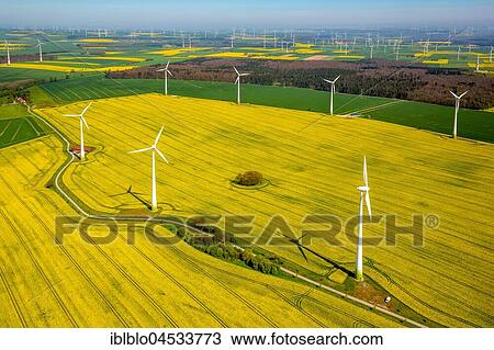 Stock Image - Flowering yellow rape fields, farmland, cropland, wind park, wind energy plants, near Marsberg, Sauerland, Hochsauerland district, North Rhine-Westphalia, Germany, Europe. Fotosearch