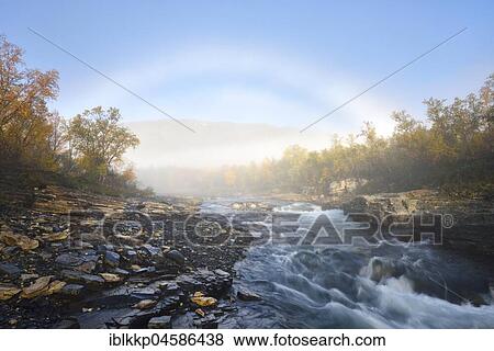 Stock Photo - Fog arch over the Abiskojakka River, Abisko Canyon, river landscape in autumn at morning fog, Abisko National Park, Sweden, Europe. Fotosearch