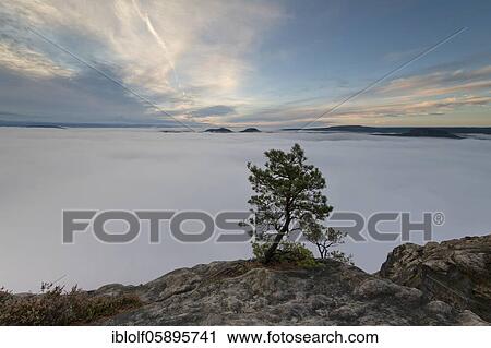 Stock Image - Fog in the Elbe valley, Saxony, Germany, sunrise, twilight with weather pine on the Lilienstein with view into Saxon Switzerland on Papsstein and Gorisch, National Park Saxon Switzerland, Europe. Fotosearch