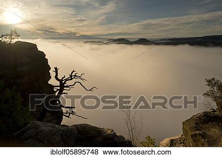 Stock Photo - Fog in the Elbe Valley, Saxony, Germany, sunrise on Lilienstein with view into Saxon Switzerland on Pabststein and Gorisch, National Park Saxon Switzerland, Europe. Fotosearch