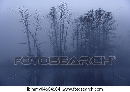 Foggy atmosphere in the morning in the Peene Valley, Naturpark Flusslandschaft Peenetal, Mecklenburg-Western Pomerania, Germany, Europe View Large Photo Image Picture - Foggy atmosphere in the morning in the Peene Valley, Naturpark Flusslandschaft Peenetal, Mecklenburg-Western Pomerania, Germany, Europe. Fotosearch